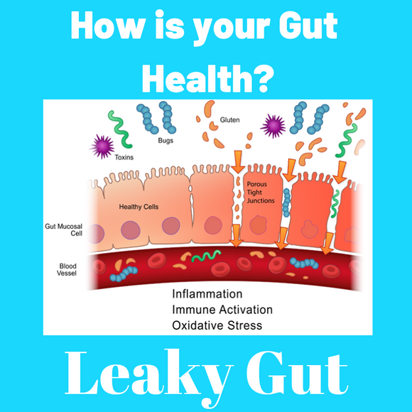 How is your Gut Health?