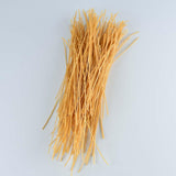 Organic Soybean Spaghetti Pasta Liviva